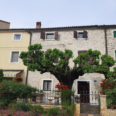 Casa Girasole Villa Buje Kültér fotó
