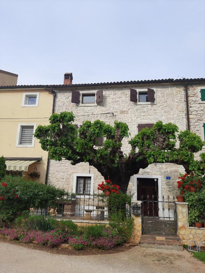 Casa Girasole Villa Buje Kültér fotó