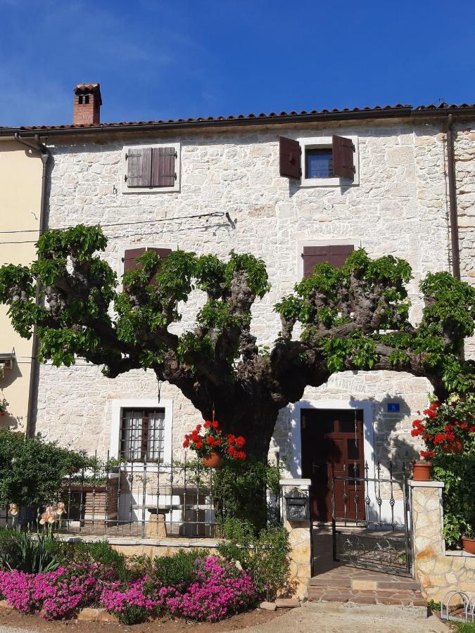 Casa Girasole Villa Buje Kültér fotó